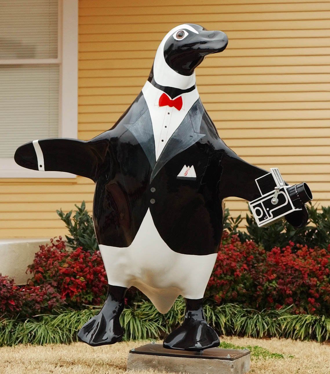 Tulsa Zoo's Penguins on Parade